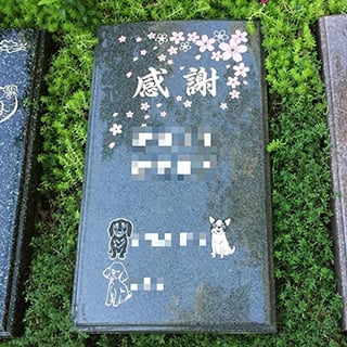 4人用「安」（松戸庭苑）